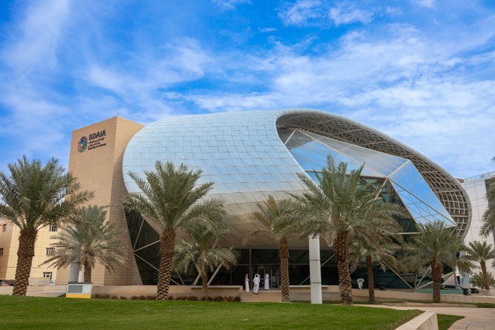 SDAIA-linion-project